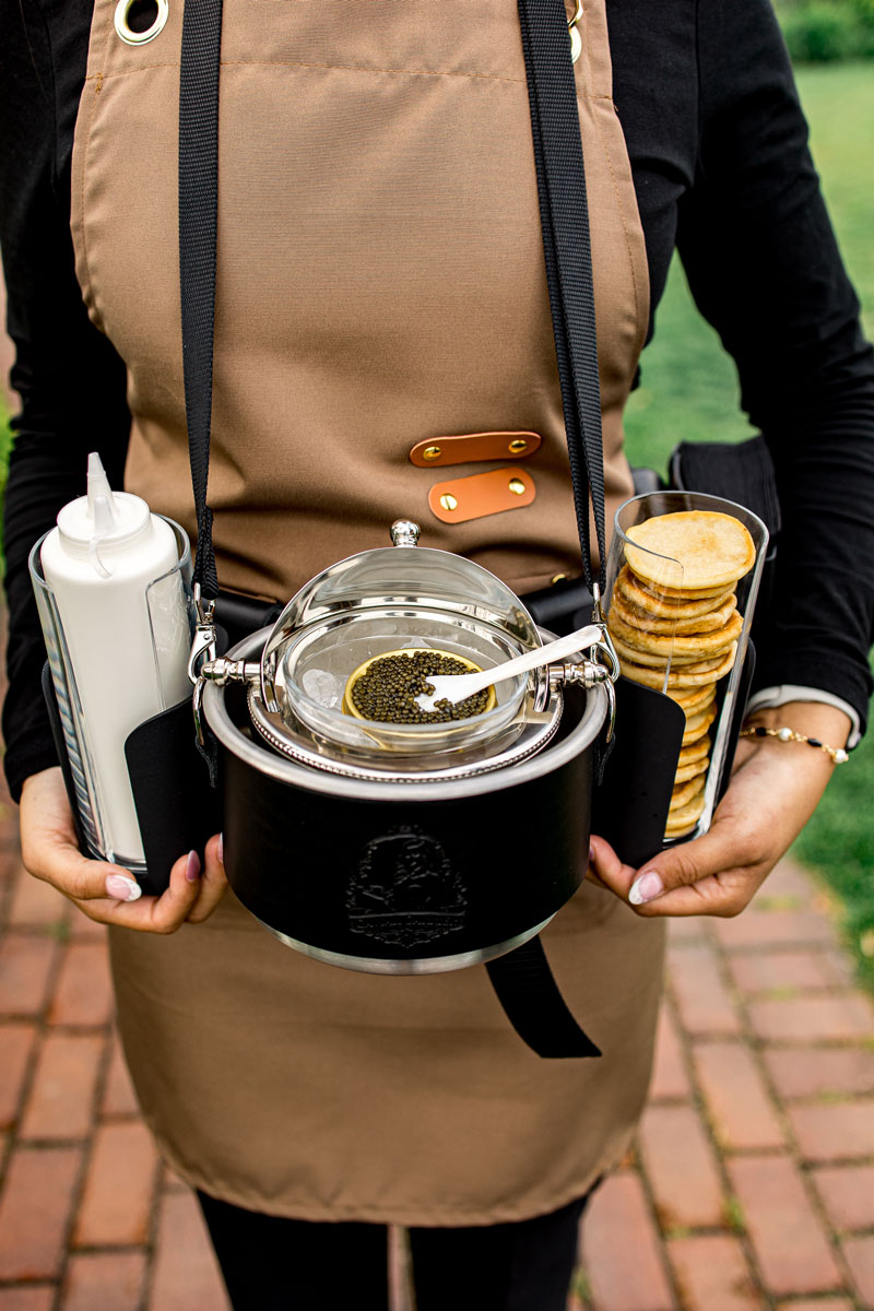 The Caviar Carrier mobile serving harness
